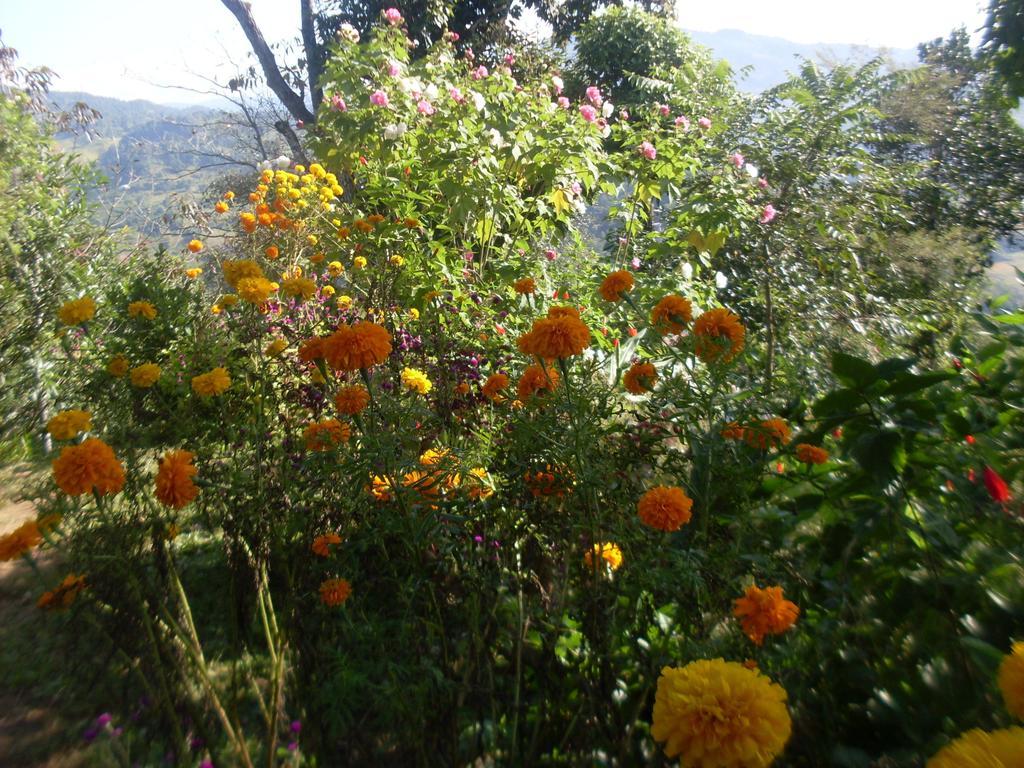 Bed and Breakfast Dinesh House Pokhara Exterior foto