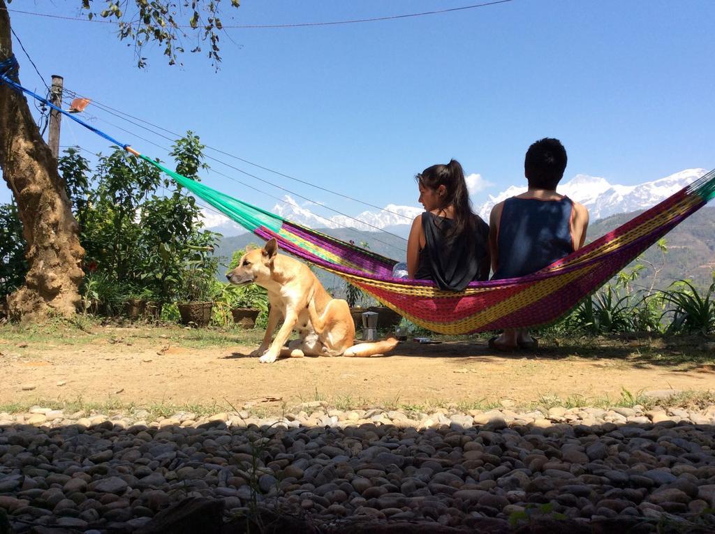 Bed and Breakfast Dinesh House Pokhara Exterior foto